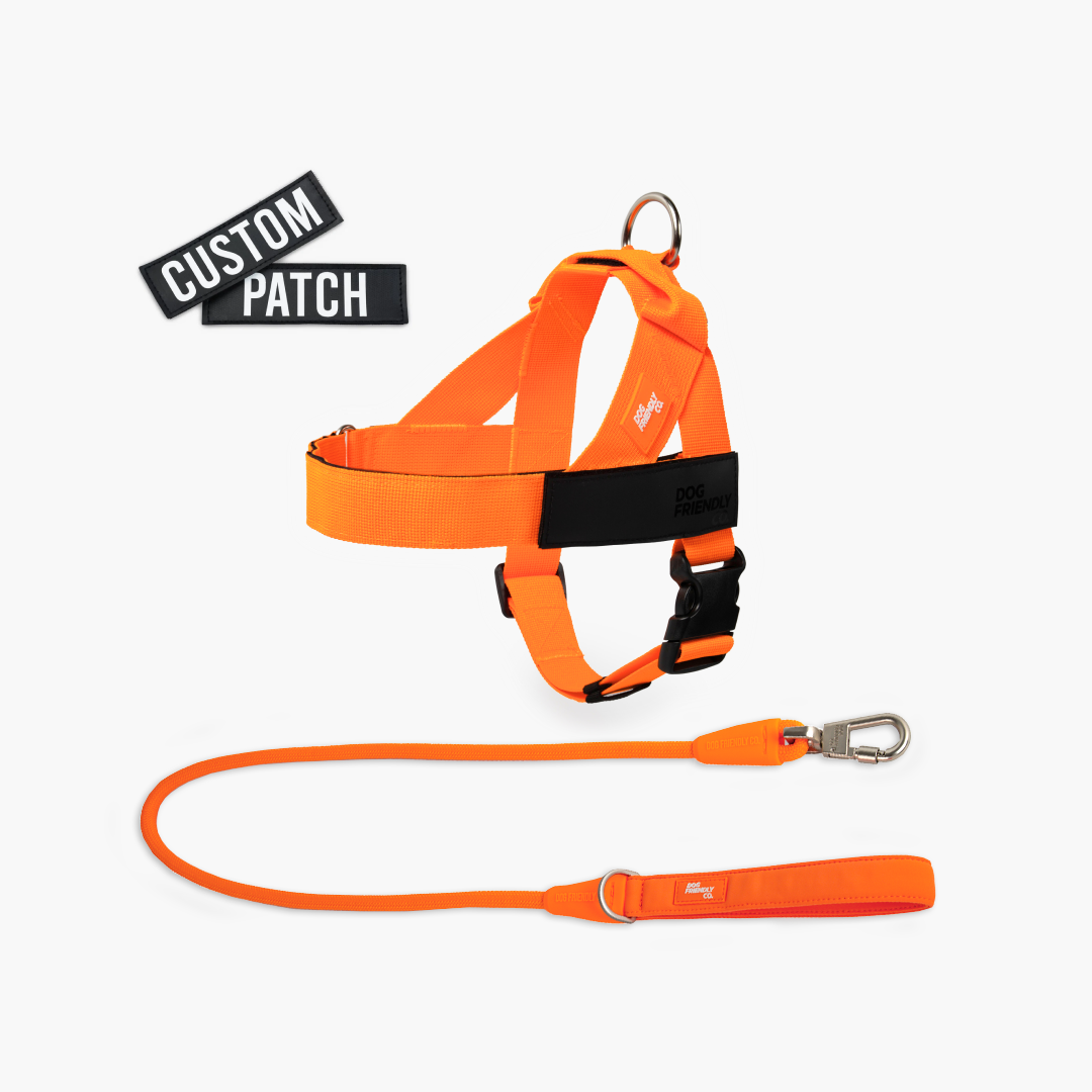 Signature Kit - Orange - FREE D-Ring