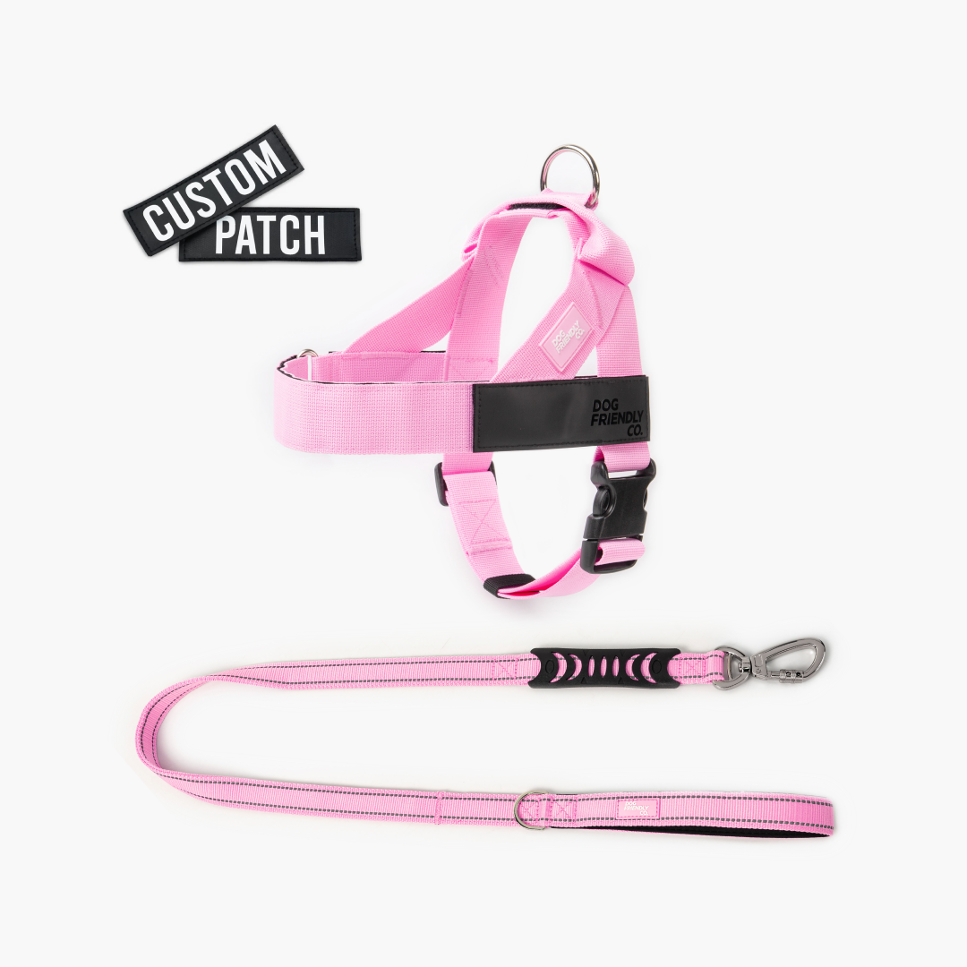 Signature Kit - Pink - FREE D-Ring
