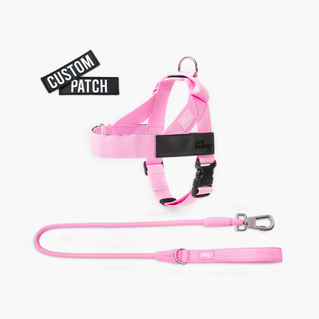 Signature Kit - Pink - FREE D-Ring