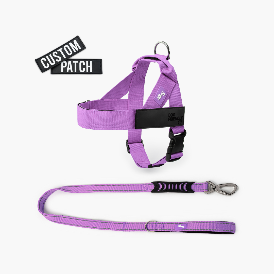 Signature Kit - Purple - FREE D-Ring