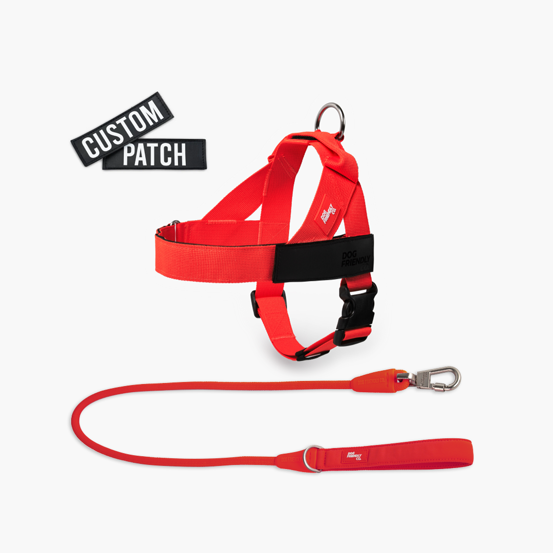 Signature Kit - Red - FREE D-Ring