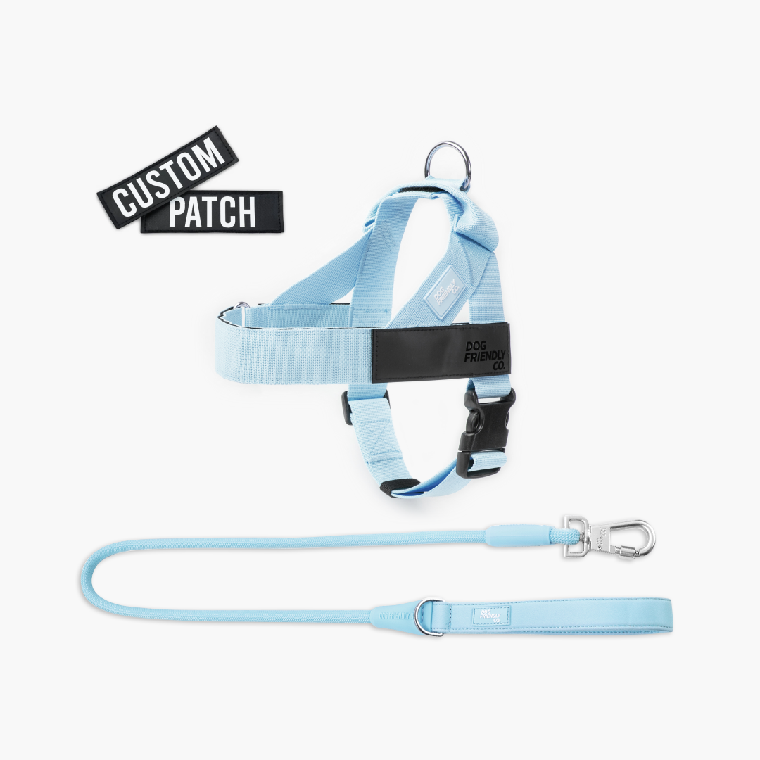 Signature Kit - Sky Blue - FREE D-Ring