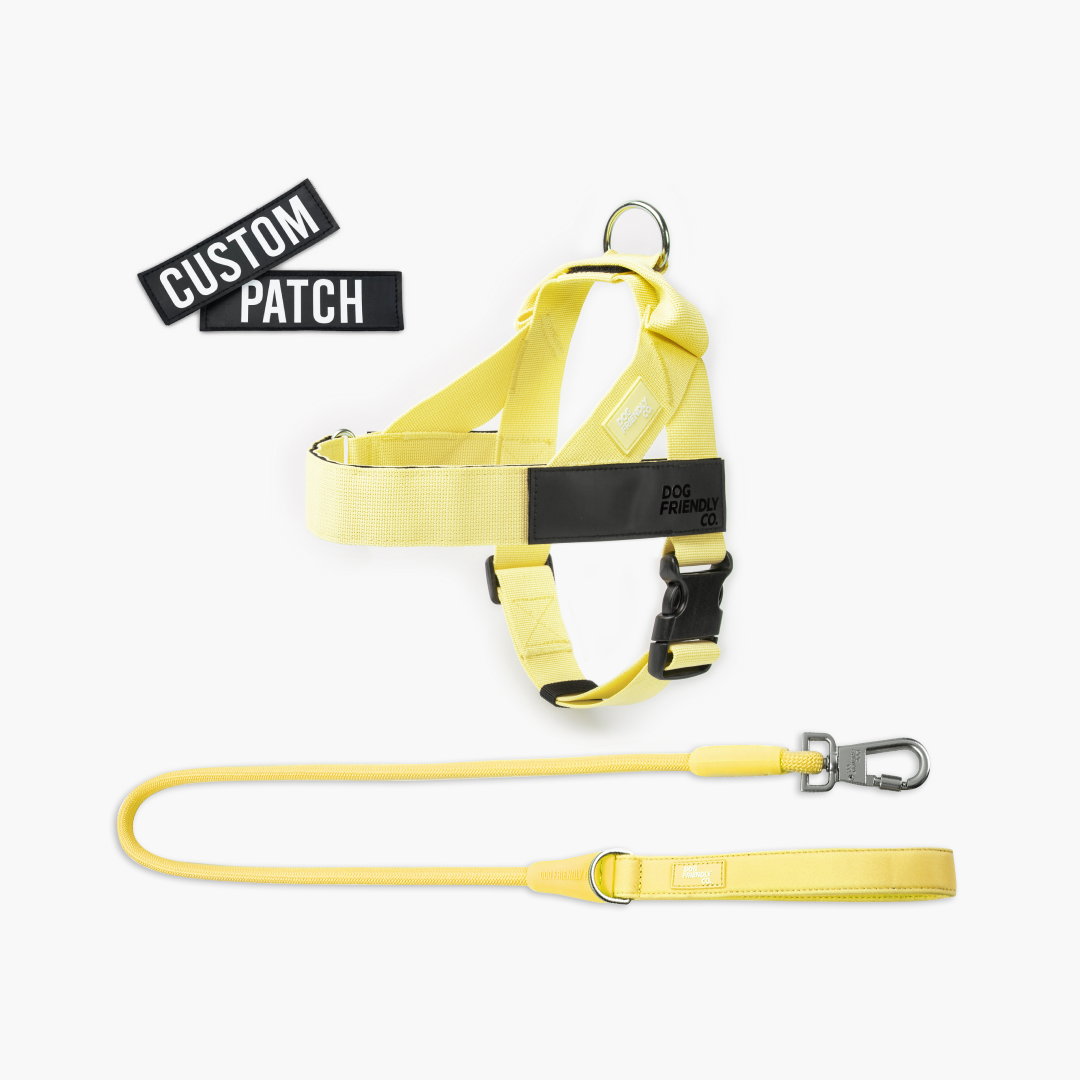 Signature Kit - Yellow - FREE D-Ring