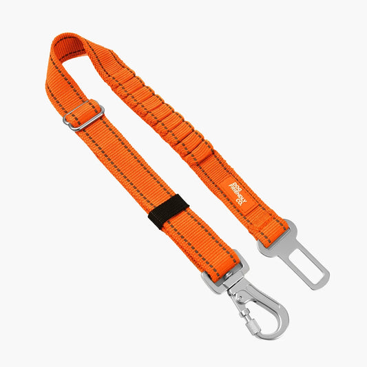 Dog Seat Belt - Hi-Vis Orange