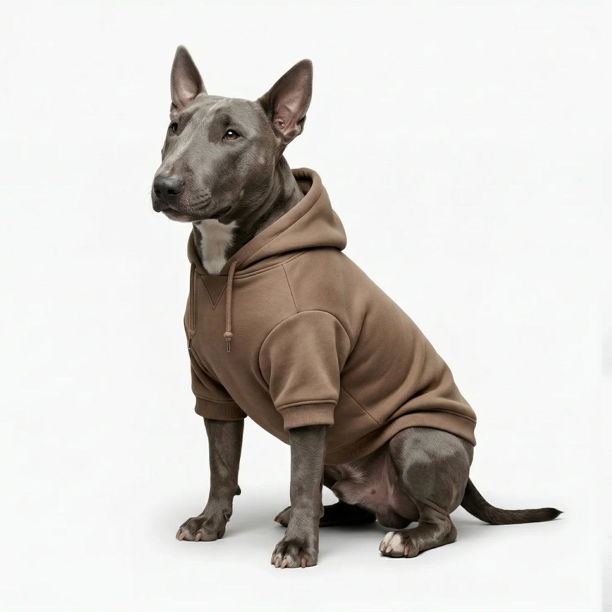 Signature Dog Hoodies - Brown