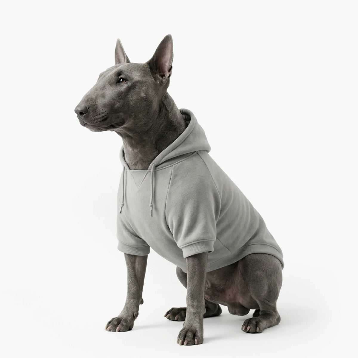 Signature Dog Hoodies - Grey