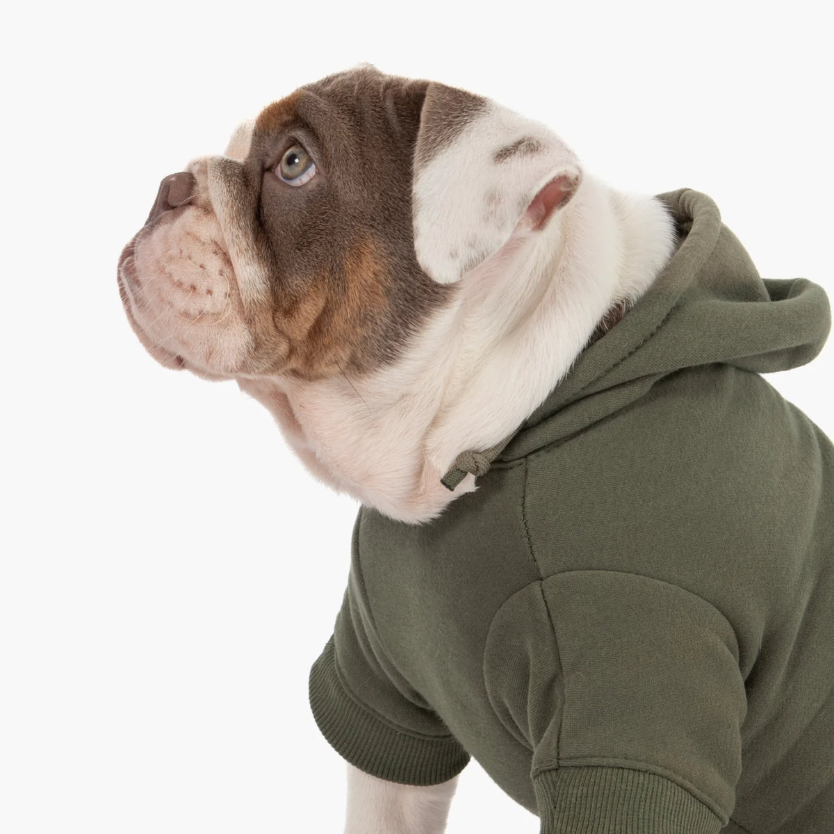 Signature Dog Hoodies - Khaki