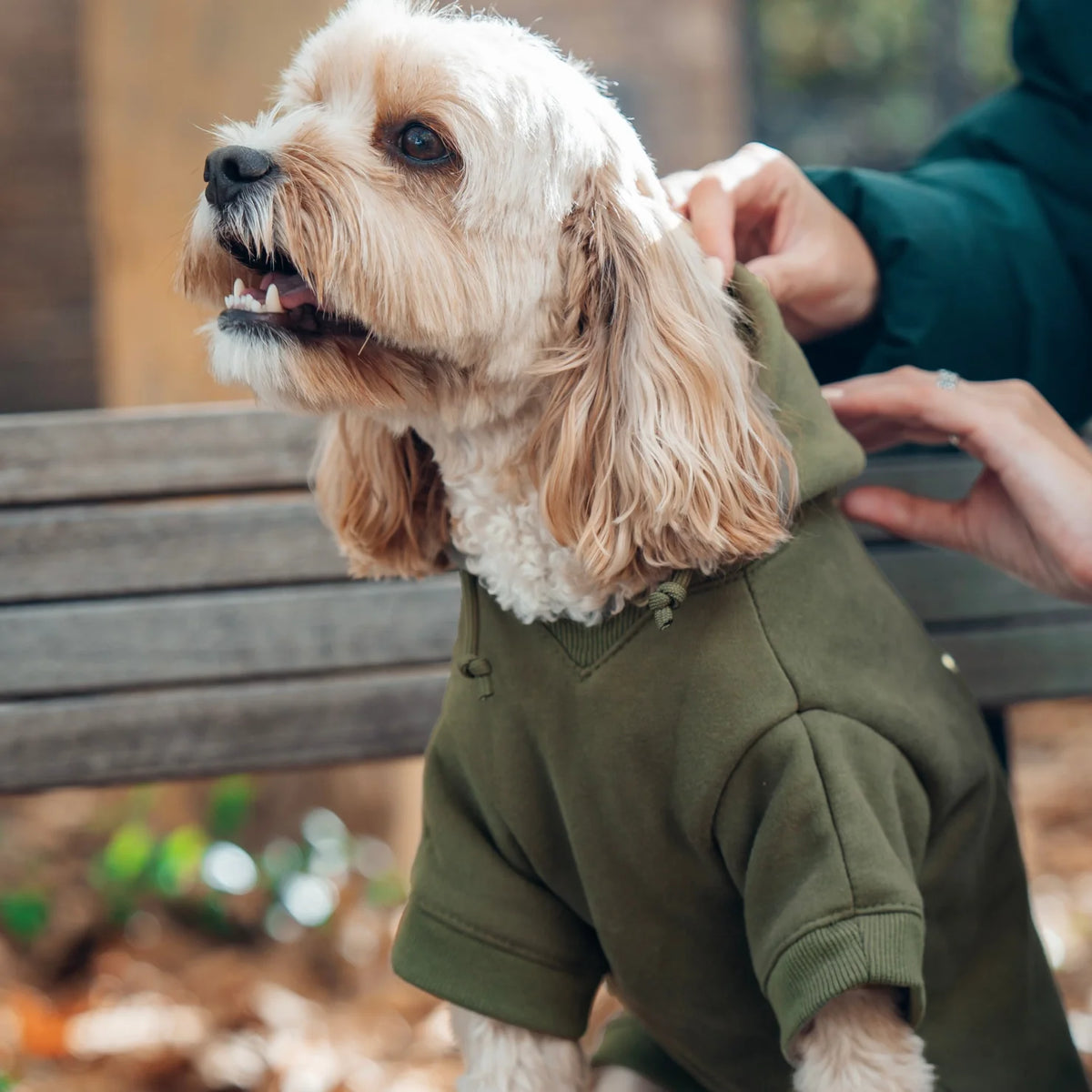Signature Dog Hoodies - Khaki