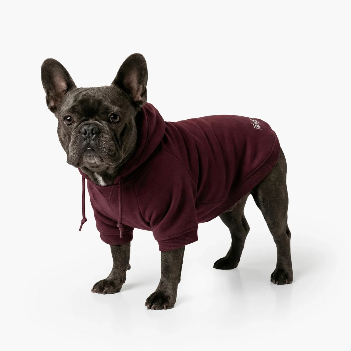 Signature Dog Hoodies - Maroon