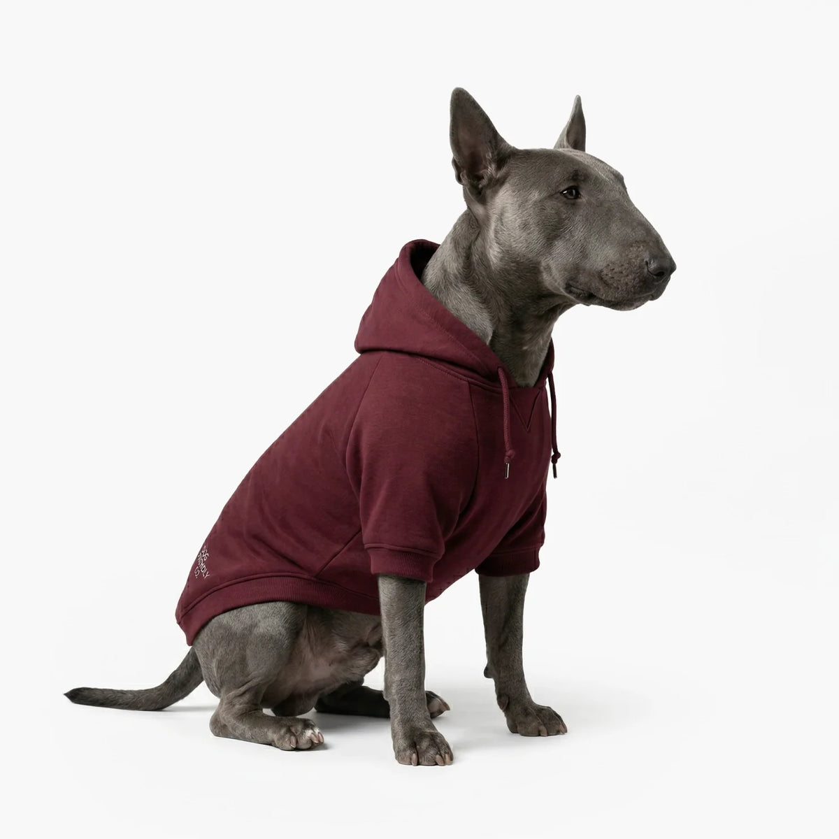 Signature Dog Hoodies - Maroon