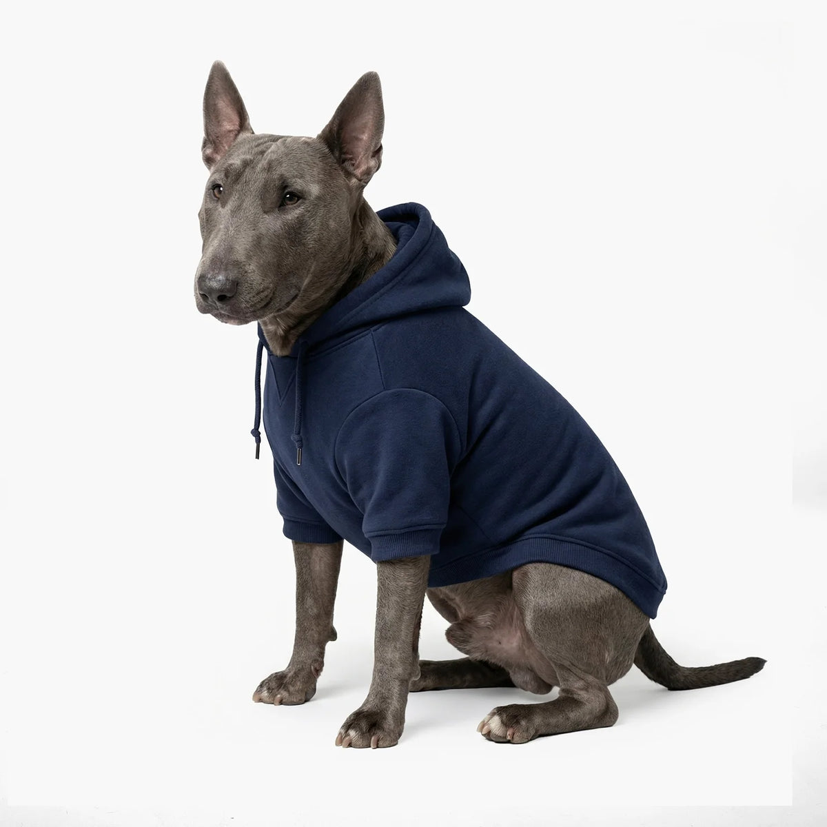 Signature Dog Hoodies - Navy Blue
