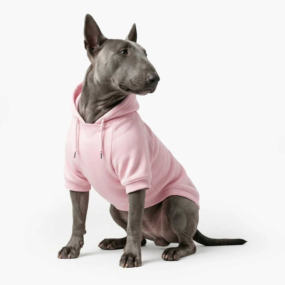 Signature Dog Hoodies - Pink