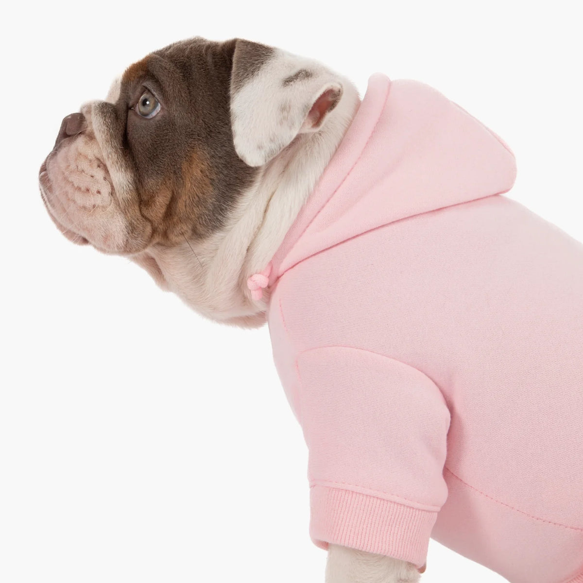 Signature Dog Hoodies - Pink