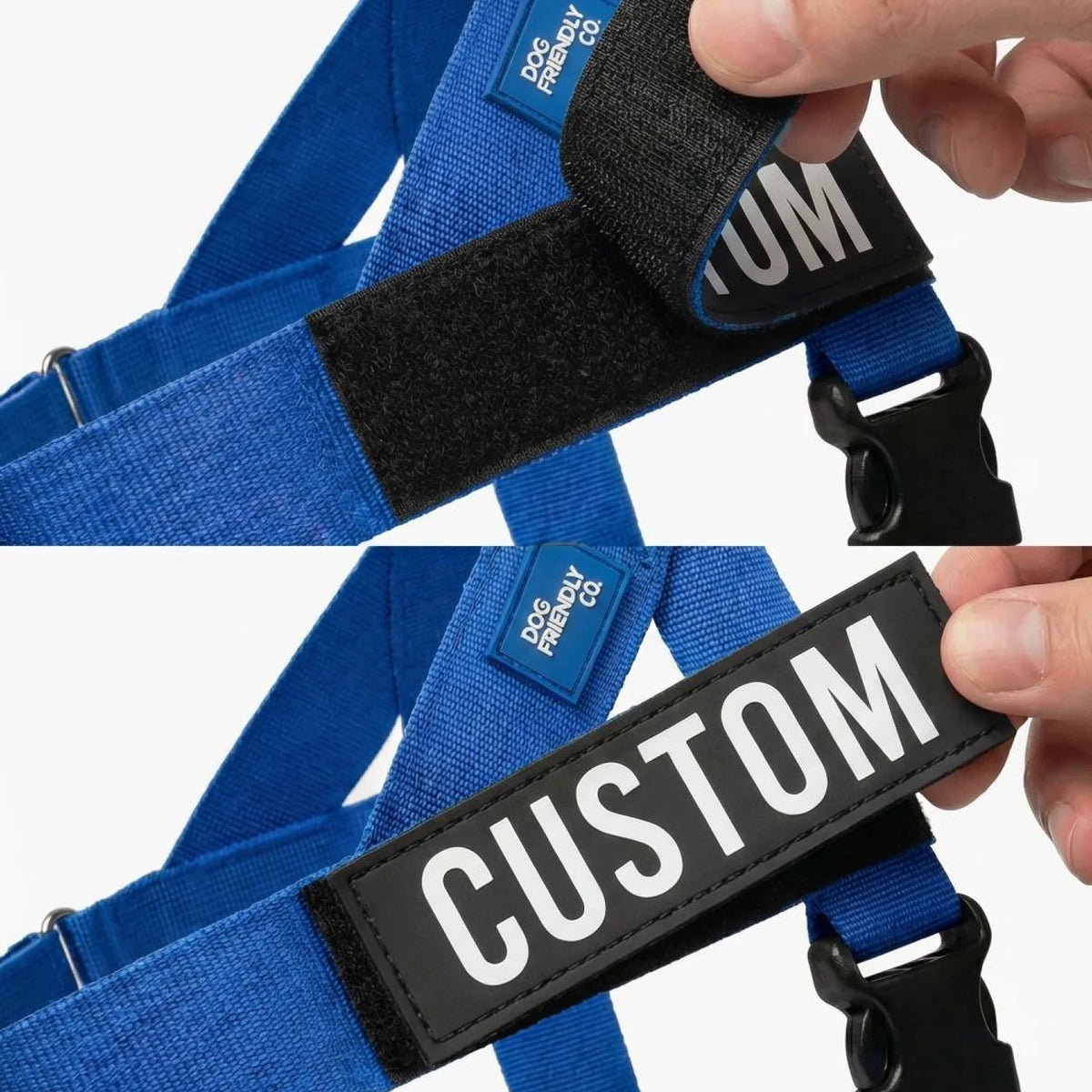 Signature Kit - Classic Blue - FREE D-Ring