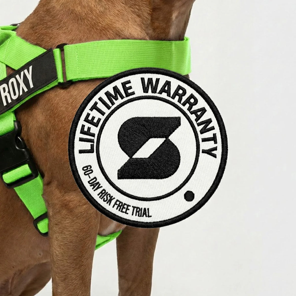 Signature Kit - Neon Green - FREE D-Ring