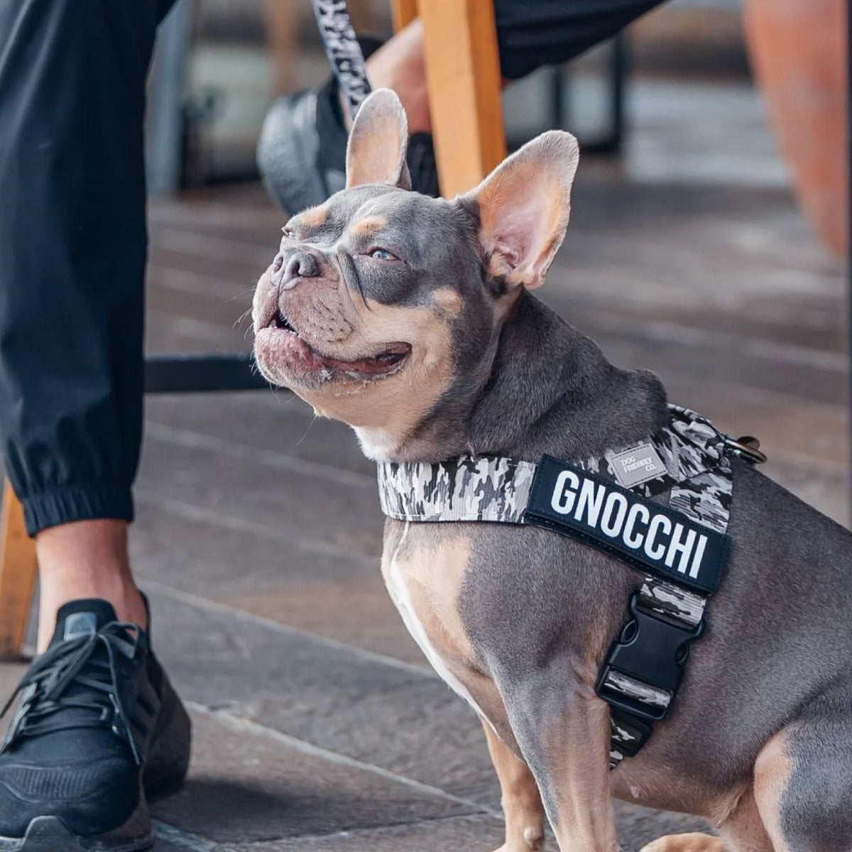 Signature Kit - Grey Camo - FREE D-Ring