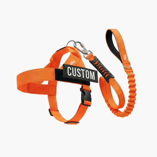Signature Kit - Orange - FREE D-Ring