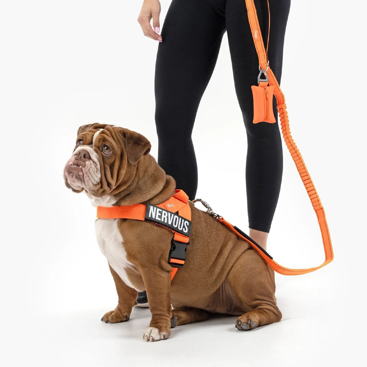 Signature Kit - Orange - FREE D-Ring