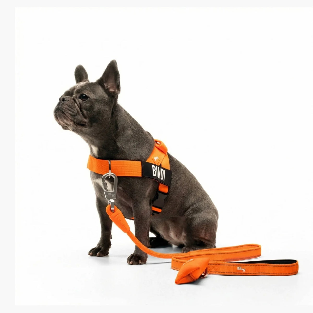 Signature Kit - Orange - FREE D-Ring