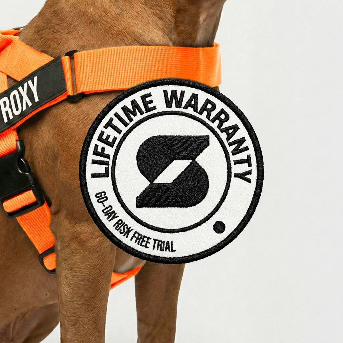 Signature Kit - Orange - FREE D-Ring
