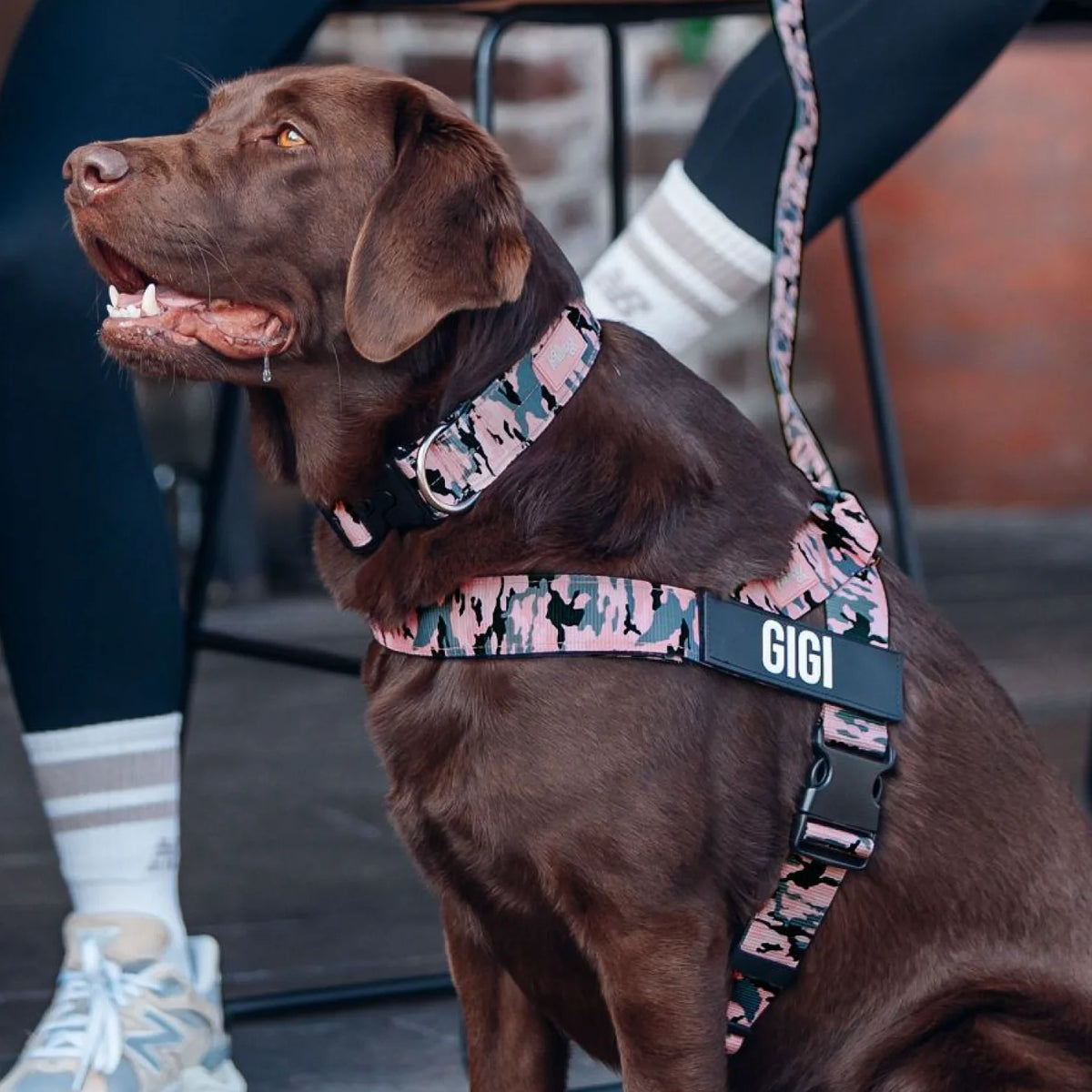 Signature Kit - Pink Camo - FREE D-Ring