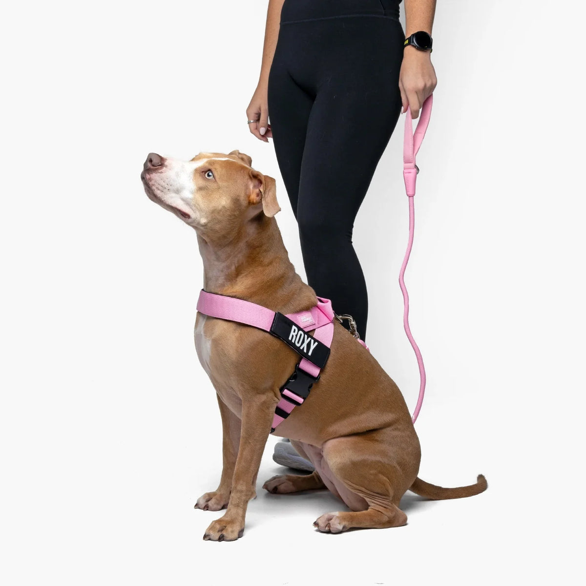 Signature Kit - Pink - FREE D-Ring