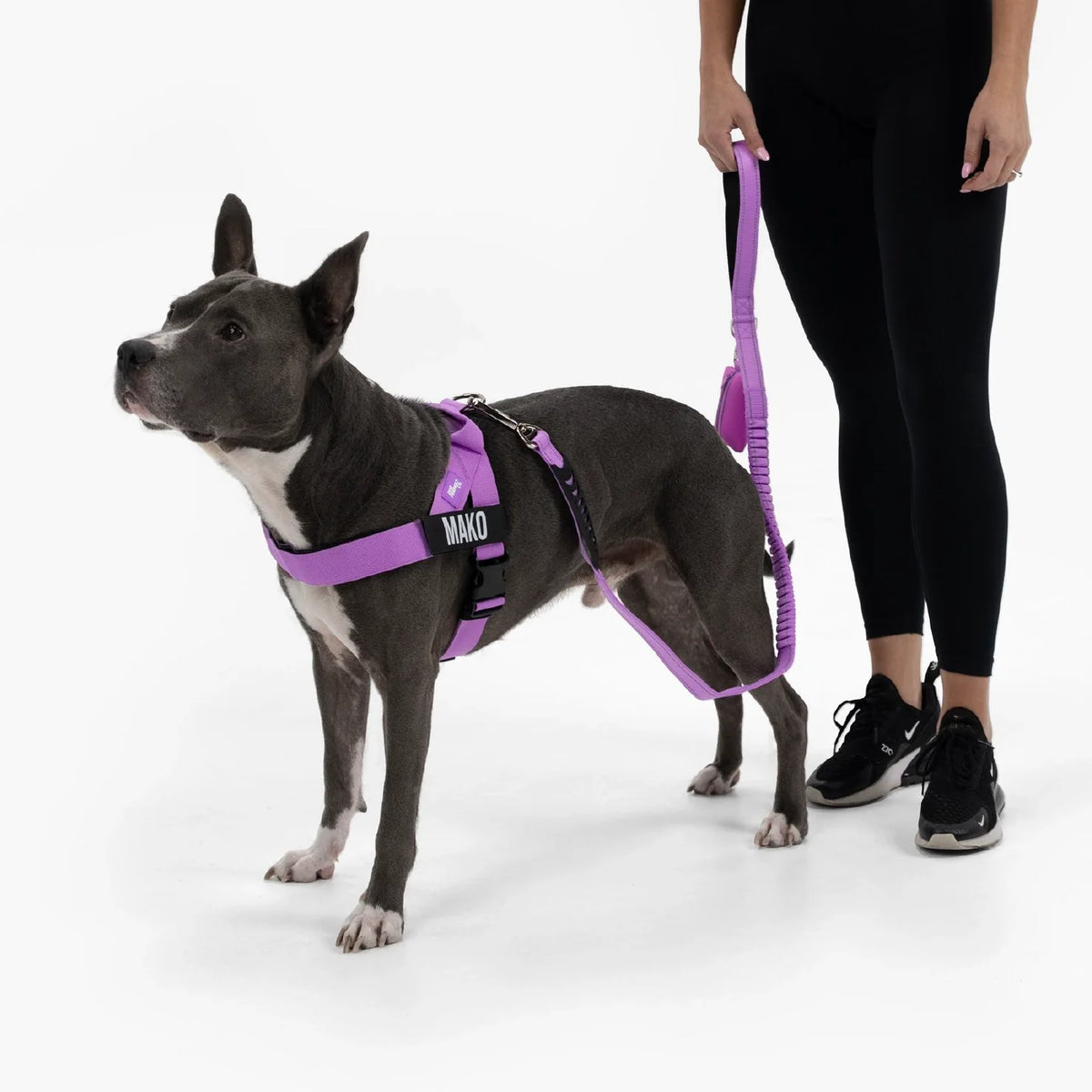 Signature Kit - Purple - FREE D-Ring