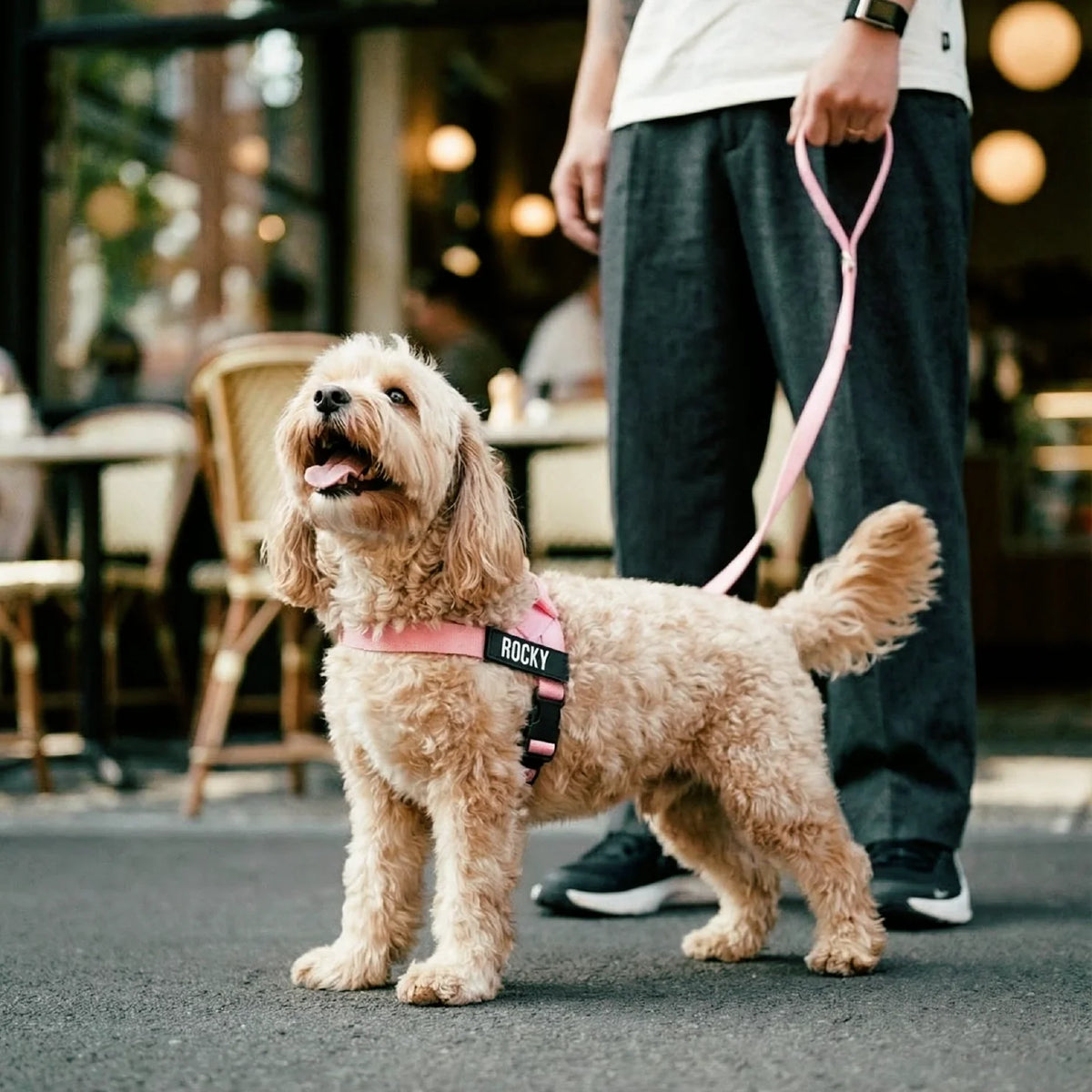 Signature Kit - Purple - FREE D-Ring