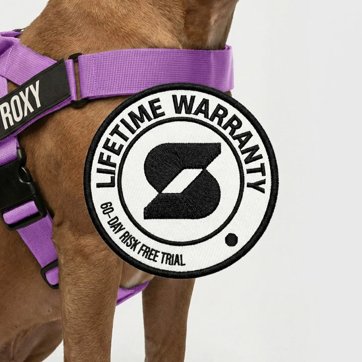 Signature Kit - Purple - FREE D-Ring