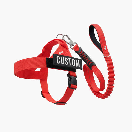 Signature Kit - Red - FREE D-Ring