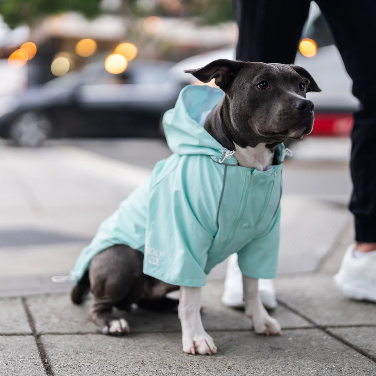 Storm Pro Raincoat - Sky Blue
