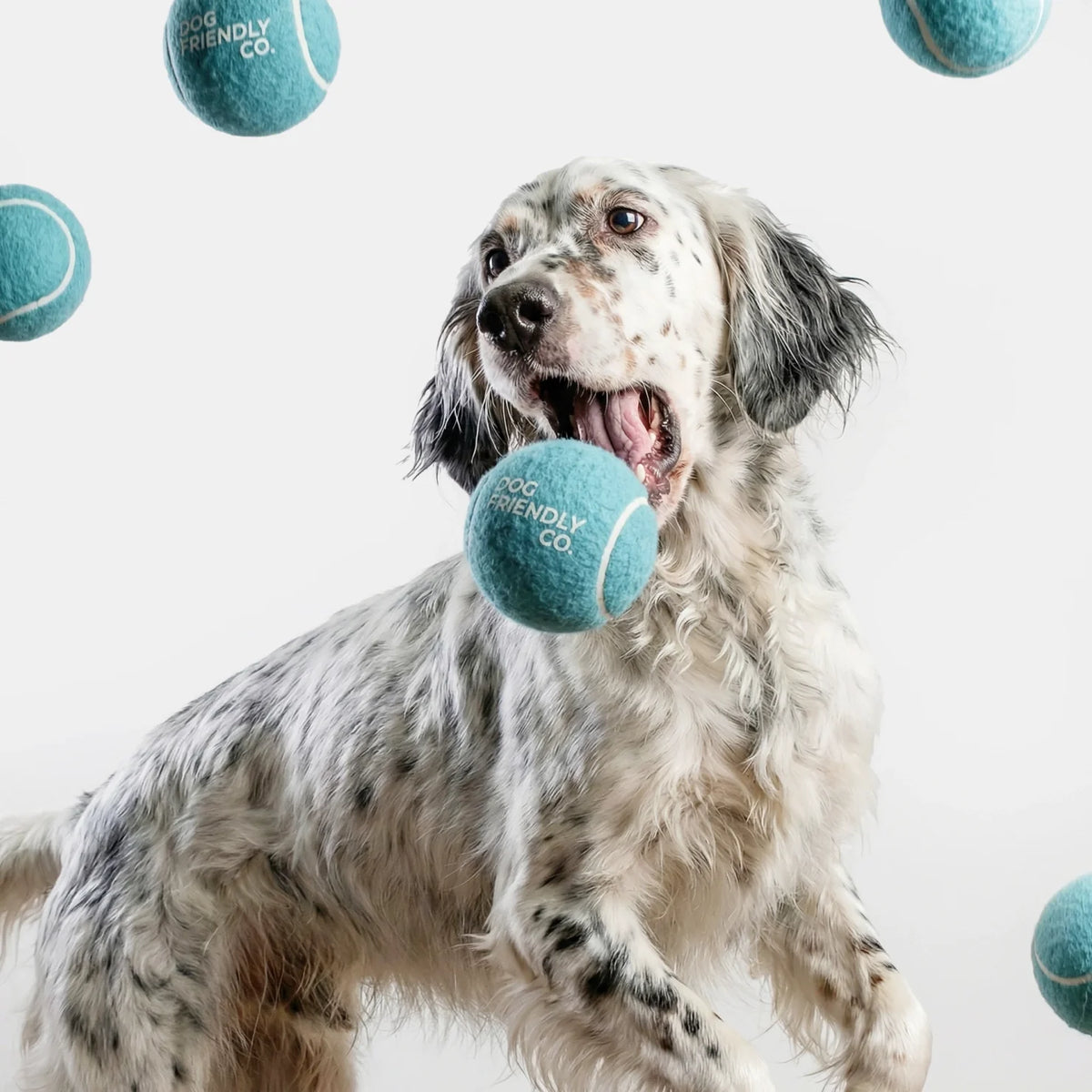 Tennis Balls