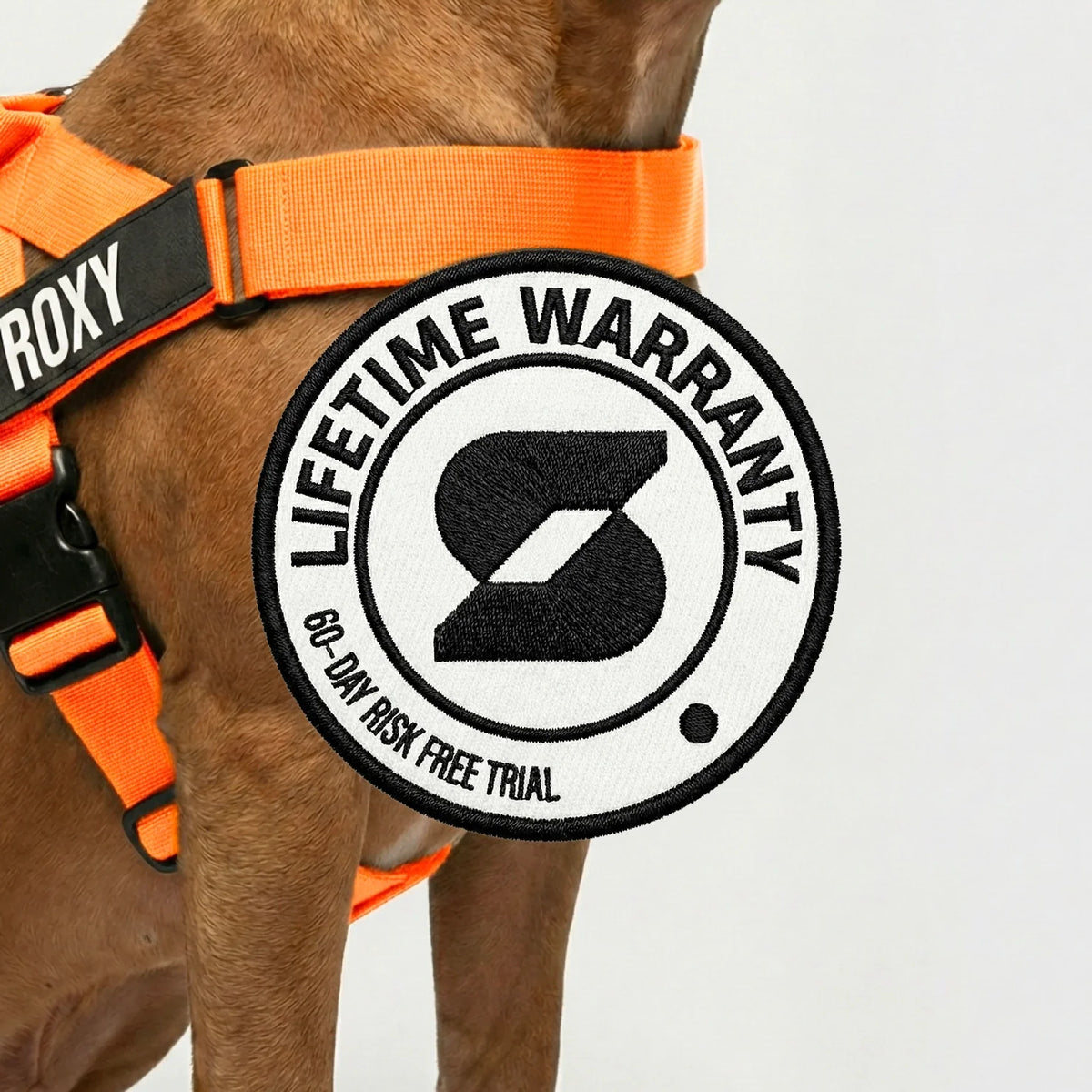 Ultimate No-Pull Bundle - Hi-Vis Orange