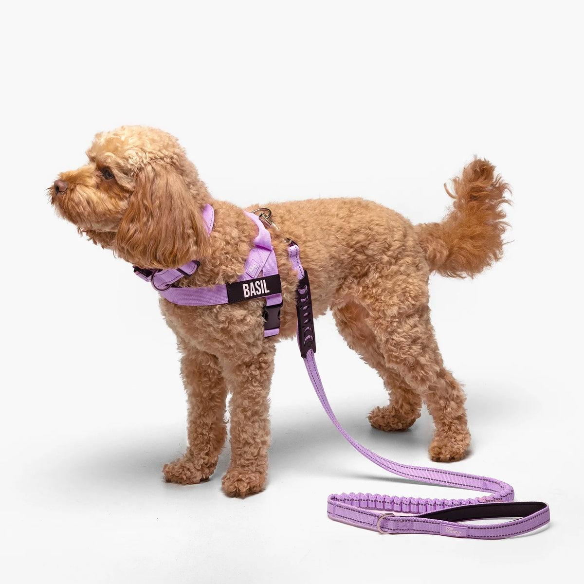 Ultimate No-Pull Bundle - Purple