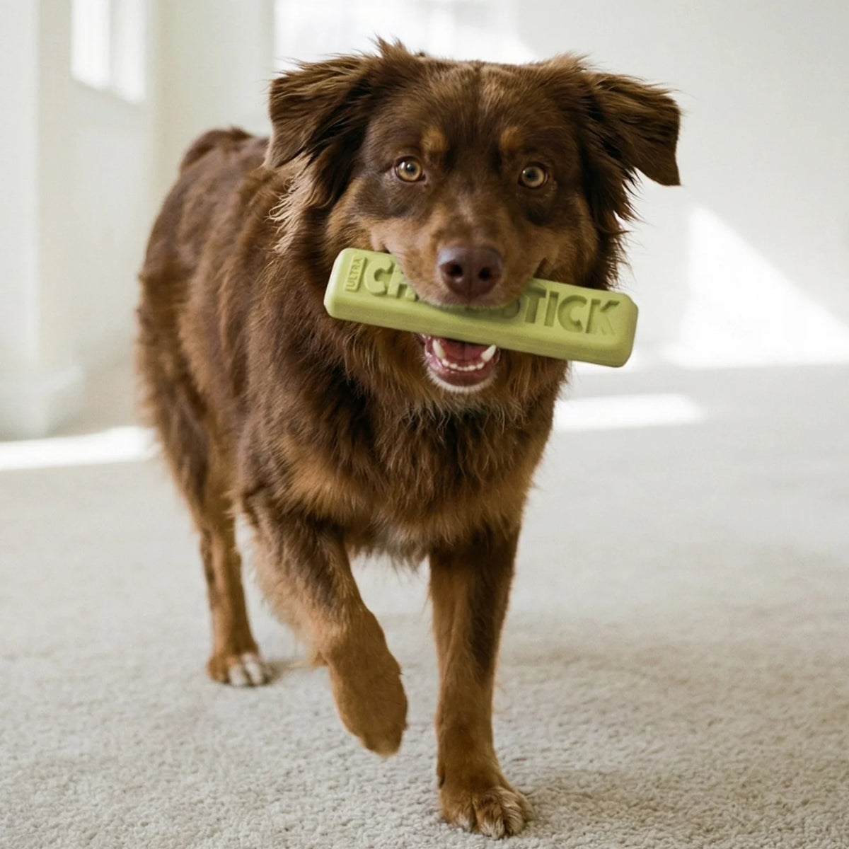 Ultra Chew Stick