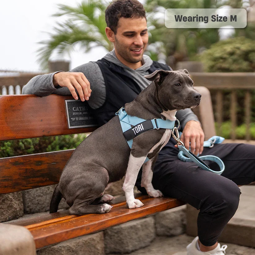 Dog Harness + FREE D-ring
