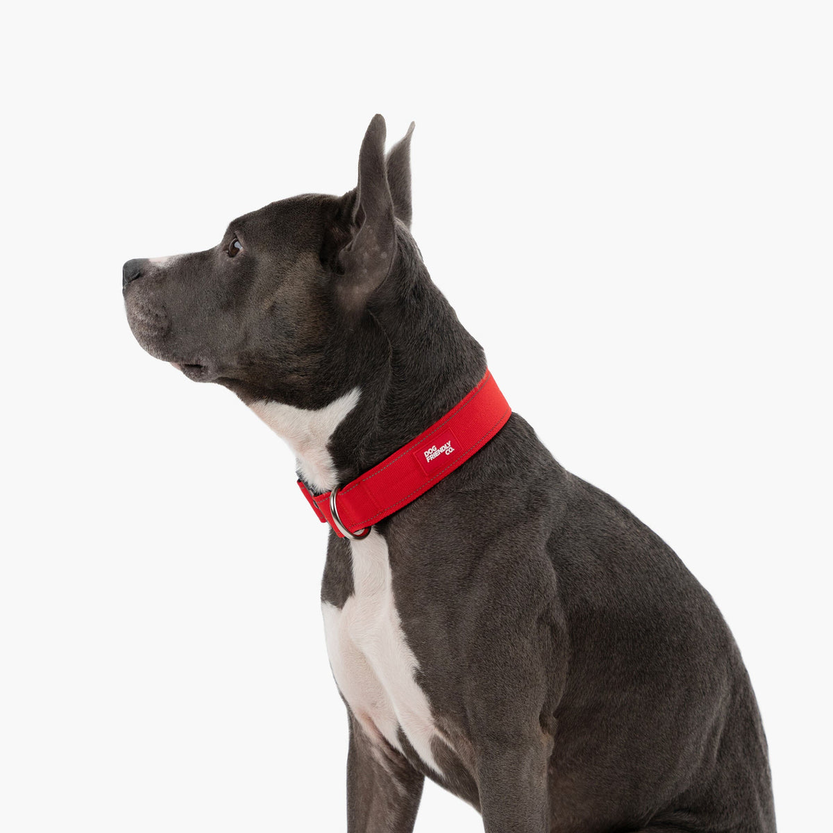 Dog Lovers Pack - Red