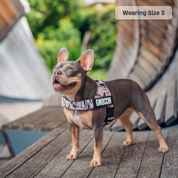 Dog Harness + FREE D-ring