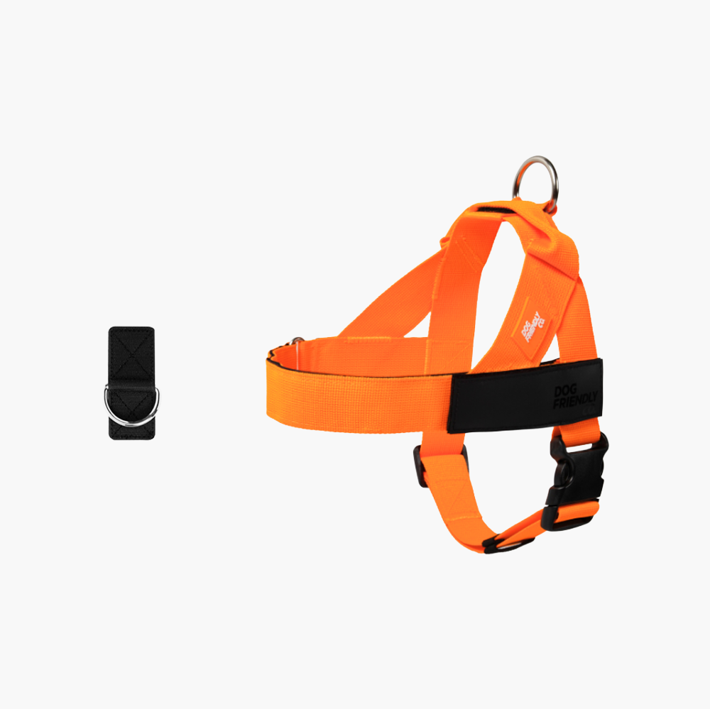 Dog Harness + FREE D-ring