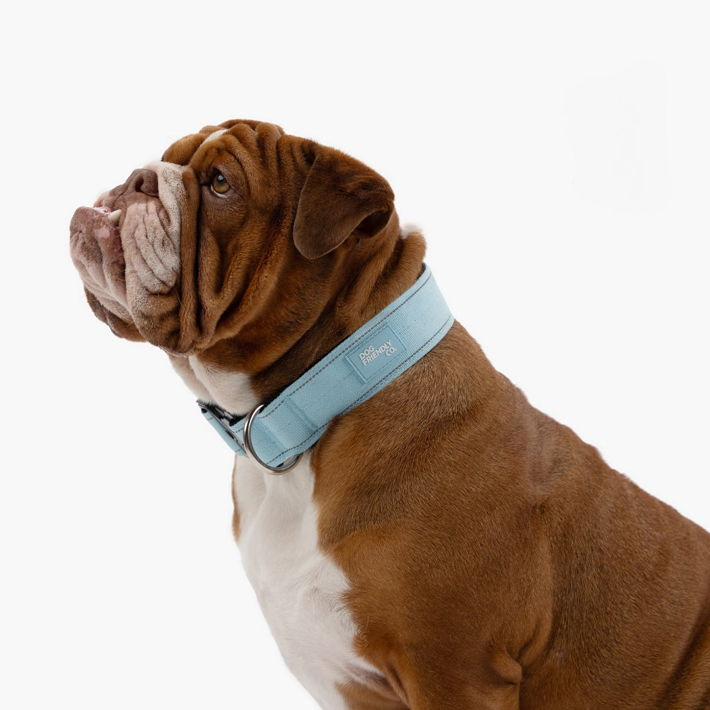 Dog Lovers Pack - Sky Blue