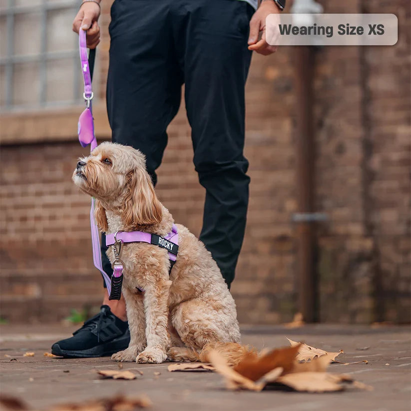 Dog Harness + FREE D-ring